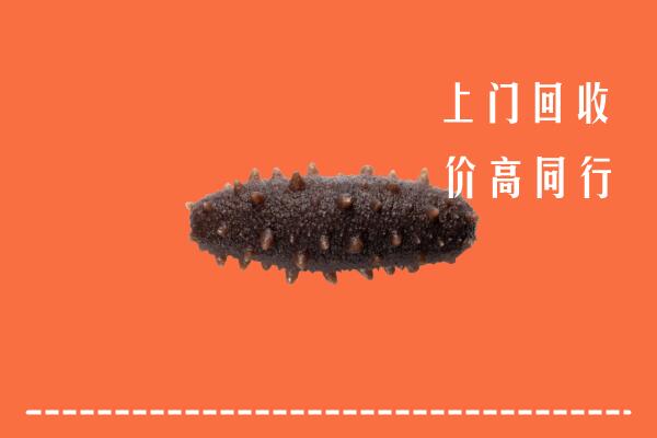 绍兴高价回收海参
